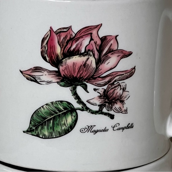Tabletop unlimited Botanical Gardens Magnolia Floral Ceramic Mugs Set - Picture 7 of 7